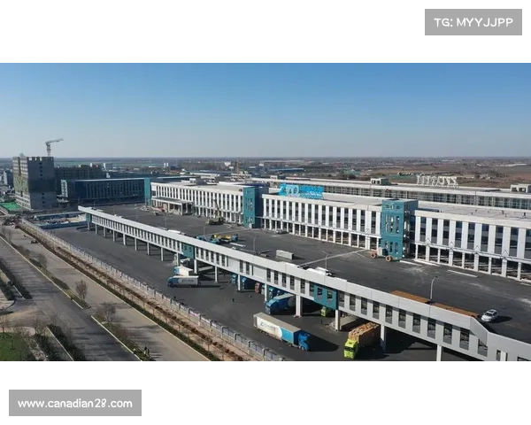 滨城区金卜庄与黄河大道交叉口应急通道建设方案及影响分析