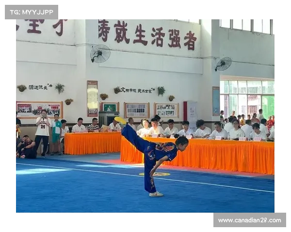 武术锦标赛养生功法项目受关注 24节气健身成创新亮点 武术锦标赛养生功法项目受关注 24节气健身成创新亮点