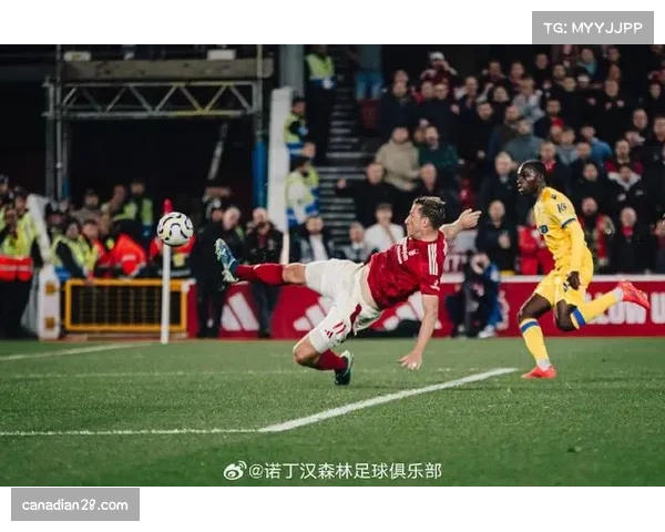 诺丁汉森林1-1水晶宫,主队保级路上再添一分